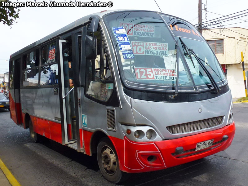 Mascarello Gran Micro / Mercedes Benz LO-712 / TMV 1 Fenur S.A.