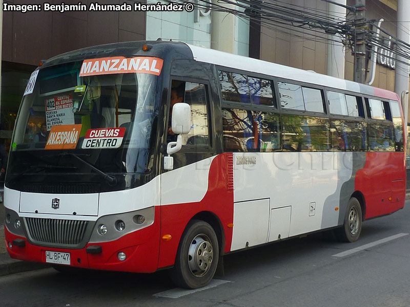 Zhong Tong Triumph LCK6780D / Línea 400 Manzanal Trans O'Higgins