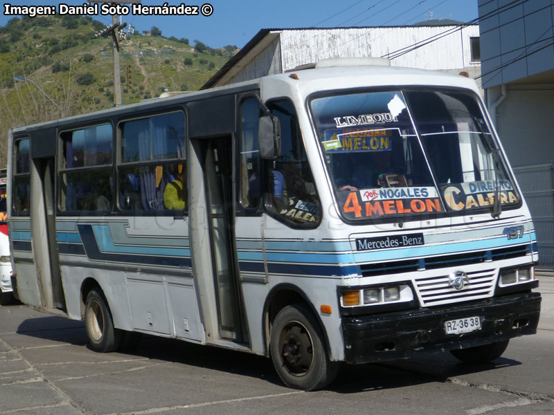 Caio Carolina V / Mercedes Benz LO-814 / Línea Melón Quillota LIMEQUI