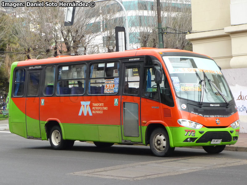 Marcopolo Senior / Mercedes Benz LO-812 / TMV 5 Gran Valparaíso S.A.