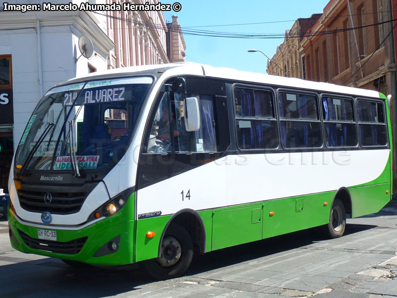 Mascarello Gran Micro / Mercedes Benz LO-916 BlueTec5 / TMV 2 Viña Bus S.A.