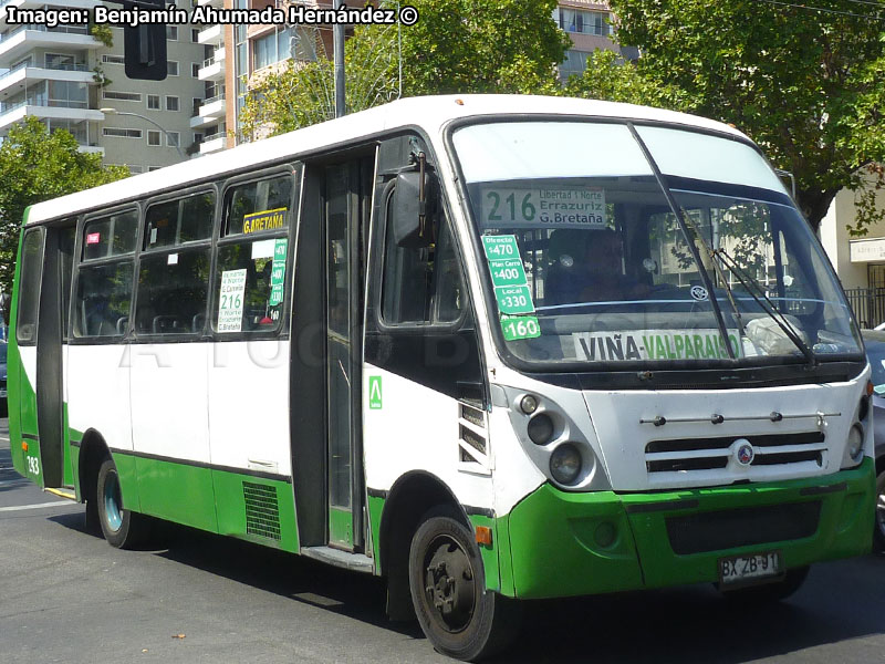 Induscar Caio Foz / Mercedes Benz LO-915 / TMV 2 Viña Bus S.A.