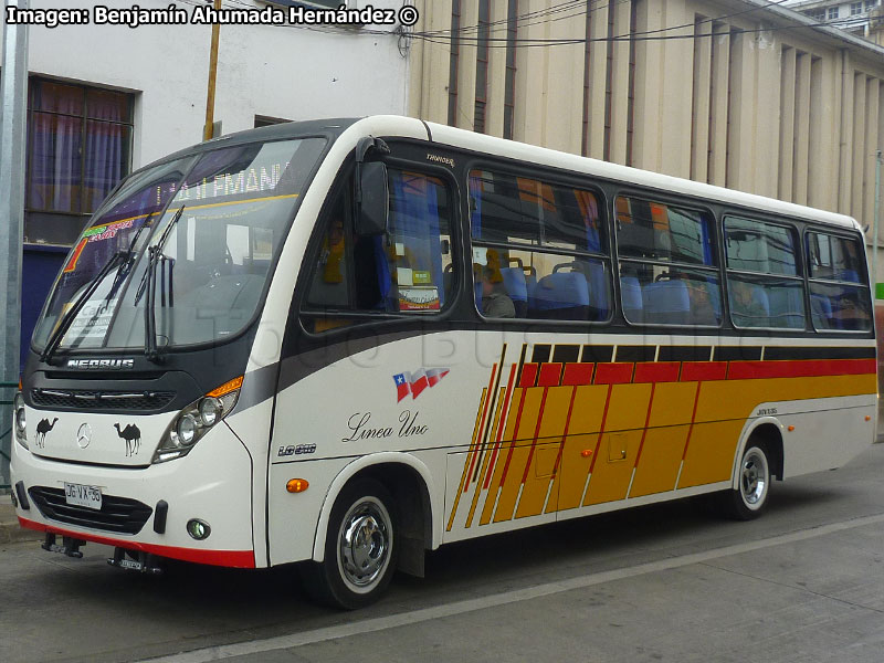 Neobus Thunder + / Mercedes Benz LO-916 BlueTec5 / Línea 1 Temuco