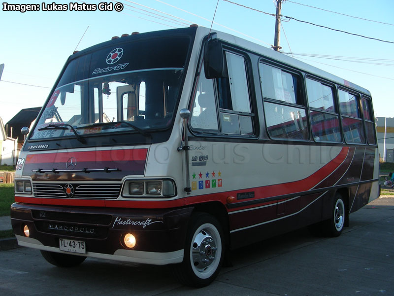 Marcopolo Senior GV / Mercedes Benz LO-914 / Línea Nº 6 Temuco