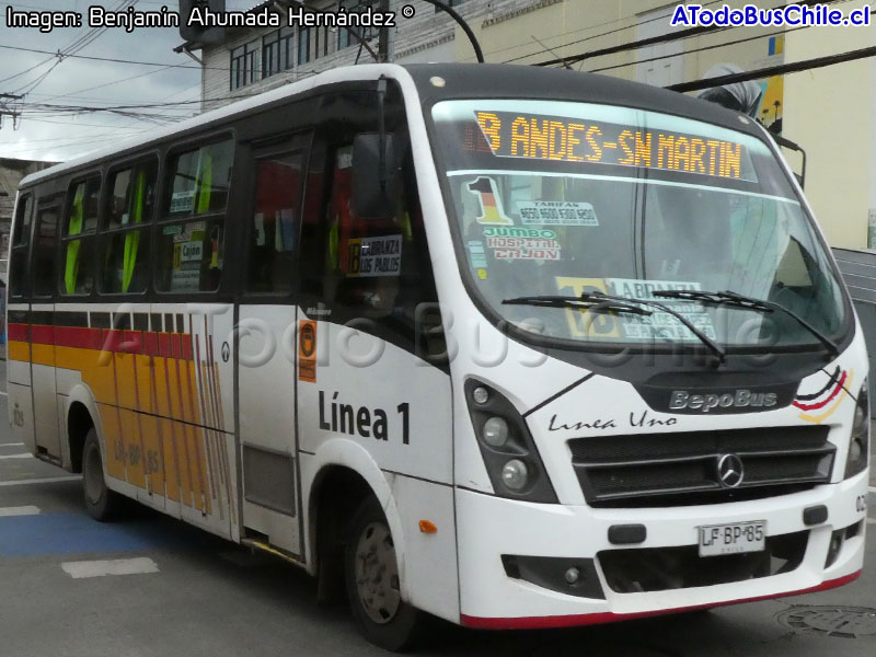 BepoBus Nàscere / Mercedes Benz LO-916 BlueTec5 / Línea N° 1 Temuco