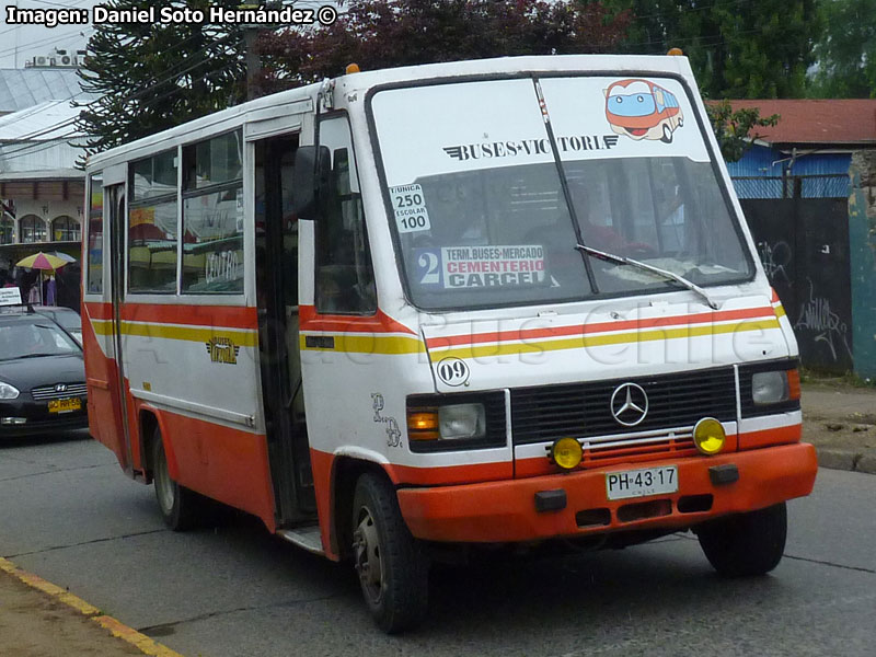 Sport Wagon Panorama / Mercedes Benz LO-814 / Línea Nº 2 Angol