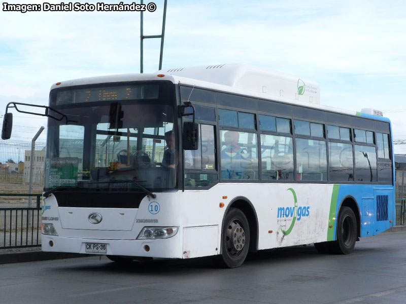 King Long XMQ6891G / Movigas Línea Nº 2 Punta Arenas