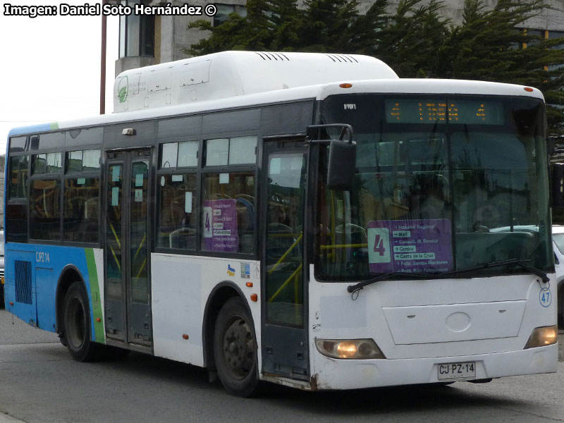 King Long XMQ6891G / Vía Austral Línea Nº 4 Punta Arenas