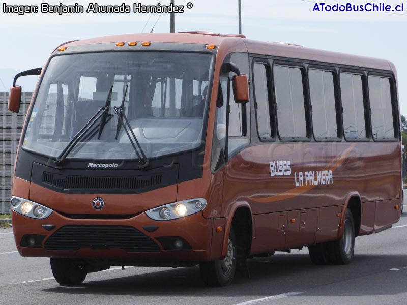 Marcopolo Senior / Mercedes Benz LO-916 BlueTec5 / Buses La Palmera