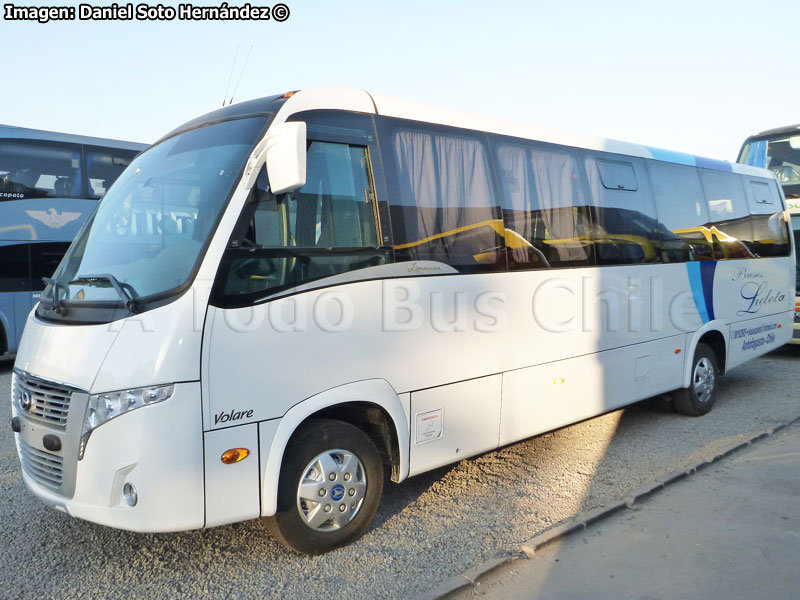 Volare W9 Limousine / Agrale MA-9.2 / Buses Zuleta