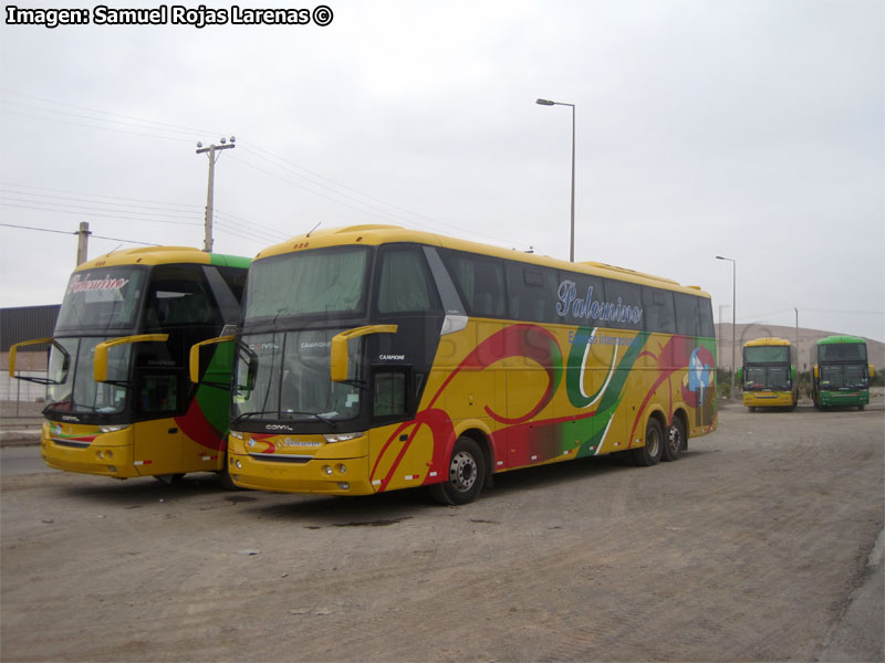 Comil Campione 4.05 HD / Mercedes Benz O-500RSD-2436 / Expreso Internacional Palomino (Perú)