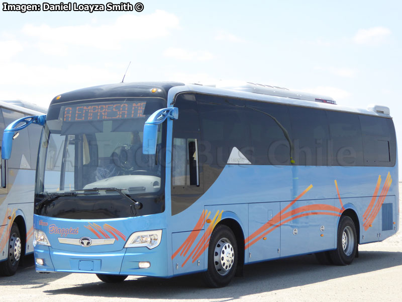 Daewoo Bus A-100 / Buses Biaggini