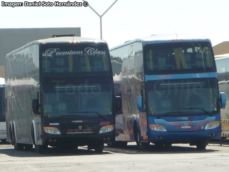 Modasa Zeus II / Scania K-420B / Talca París & Londres | Transportes Lucero