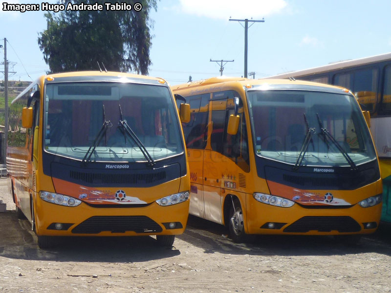 Marcopolo Senior / Mercedes Benz LO-915 / Transportes Cortés Flores