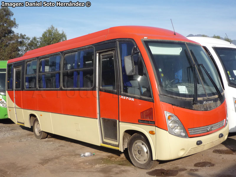 Maxibus New Astor / Mercedes Benz LO-915 / Unidad de Stock Licitado TMV