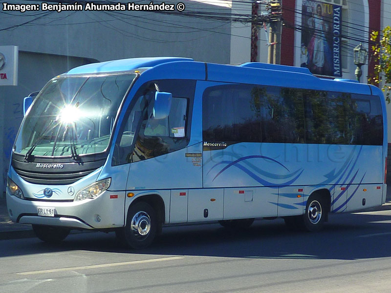 Mascarello Gran Micro / Mercedes Benz LO-915 / Transportes MVC