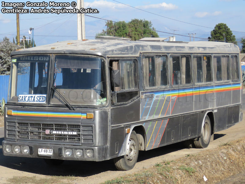 Nielson Diplomata 310 / Mercedes Benz OF-1318 / Particular