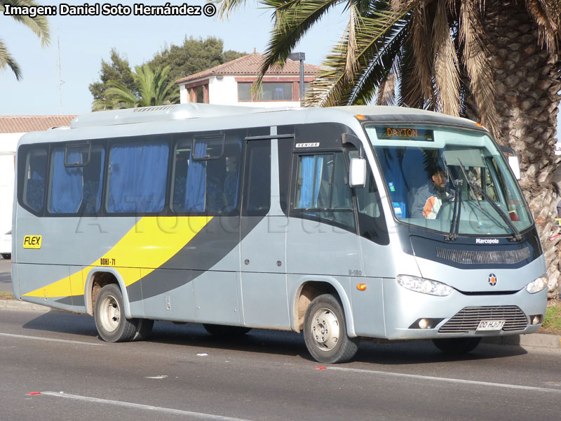 Marcopolo Senior / Volksbus 9-150EOD / Flex Transportes & Logística