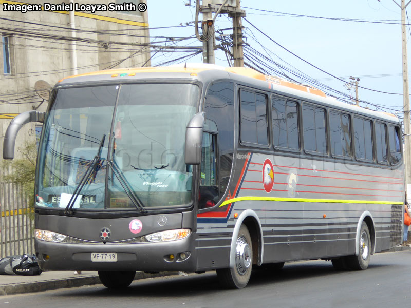 Marcopolo Viaggio G6 1050 / Mercedes Benz O-400RSE / Buses Pinto