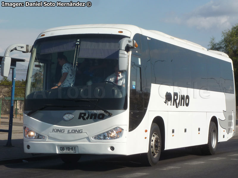 King Long XMQ6119 / Rino Bus