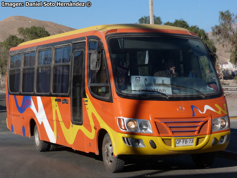 Inrecar Géminis I / Mercedes Benz LO-915 / Buses Casther