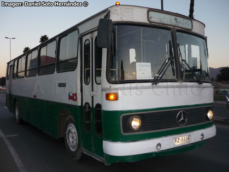 Mercedes Benz O-365 / Particular