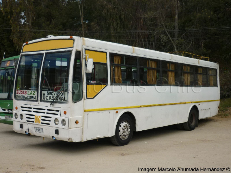 Sport Wagon Festival / International 3000FE / Buses LAZ