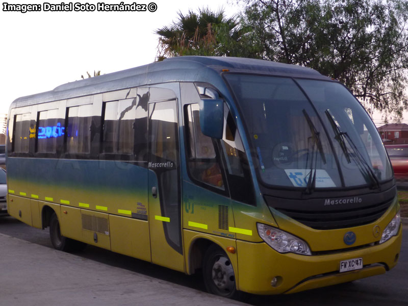 Mascarello Gran Micro / Mercedes Benz LO-915 / Técnicas Reunidas Chile