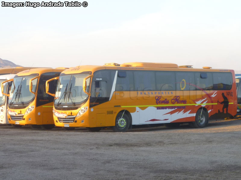 Induscar Caio Foz Solar / Mercedes Benz OF-1722 / Transportes Cortés Flores