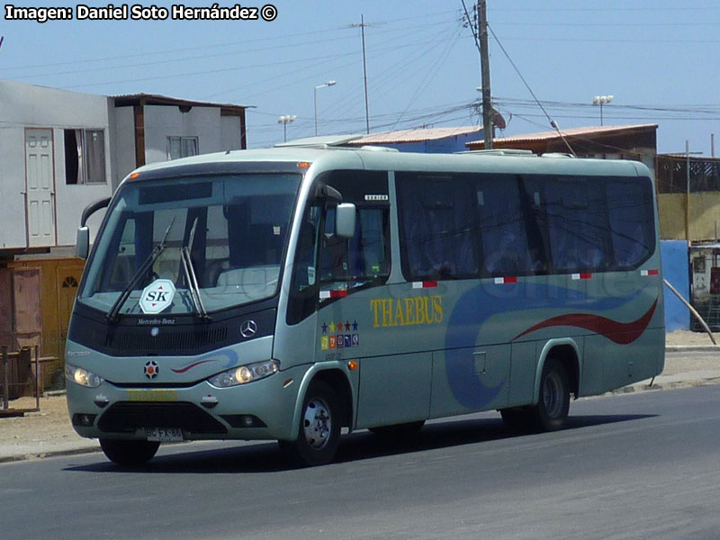 Marcopolo Senior / Mercedes Benz LO-915 / Thaebus