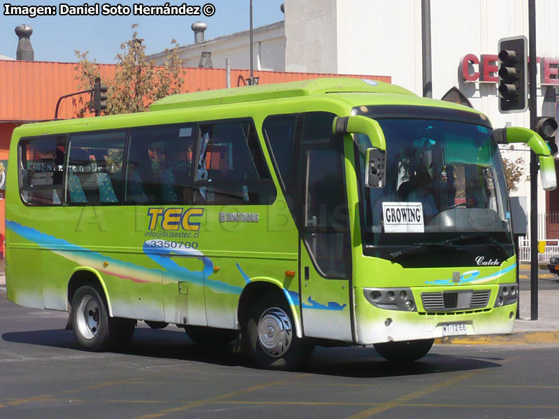 Zhong Tong Catch LCK6798T / Buses TEC