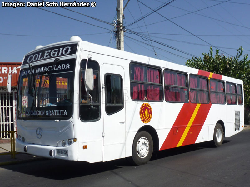 Induscar Caio Apache S21 / Mercedes Benz OH-1420 / Colegio María Inmaculada (El Bosque - Santiago)