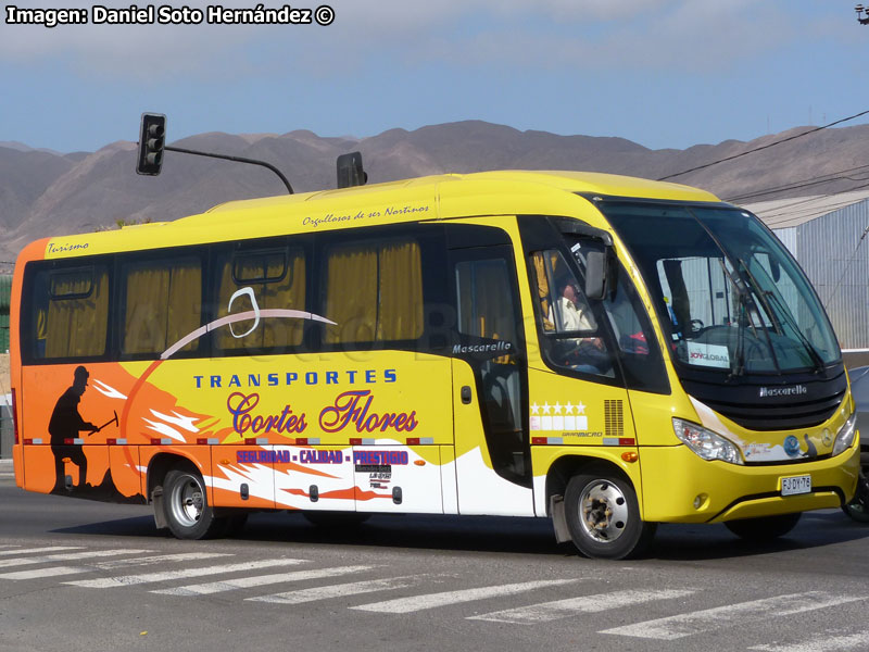Mascarello Gran Micro / Mercedes Benz LO-915 / Transportes Cortés Flores (Al servicio de Joy Global Chile S.A.)