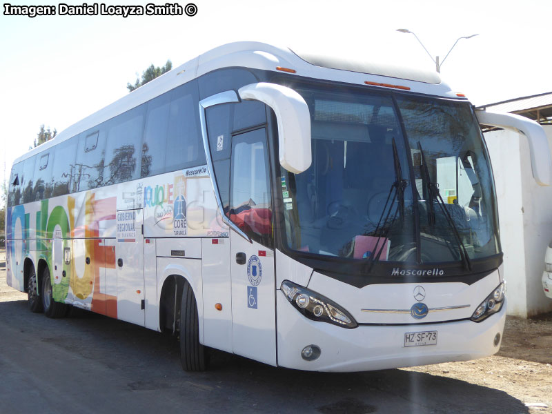 Mascarello Roma 350 / Mercedes Benz O-500RSD-2441 BlueTec5 / I. M. de Iquique