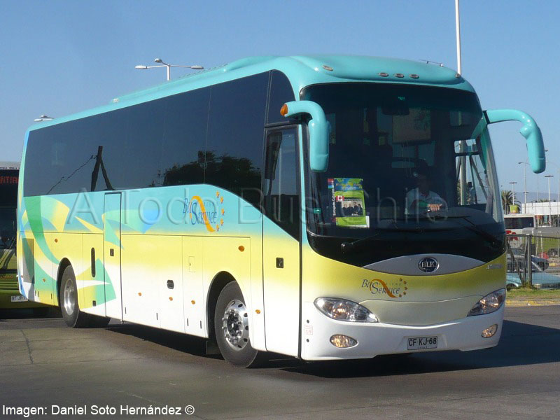 Bonluck JXK6128 / Bus Service