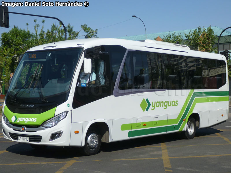 Marcopolo New Senior / Mercedes Benz LO-916 BlueTec5 / Turismo Yanguas