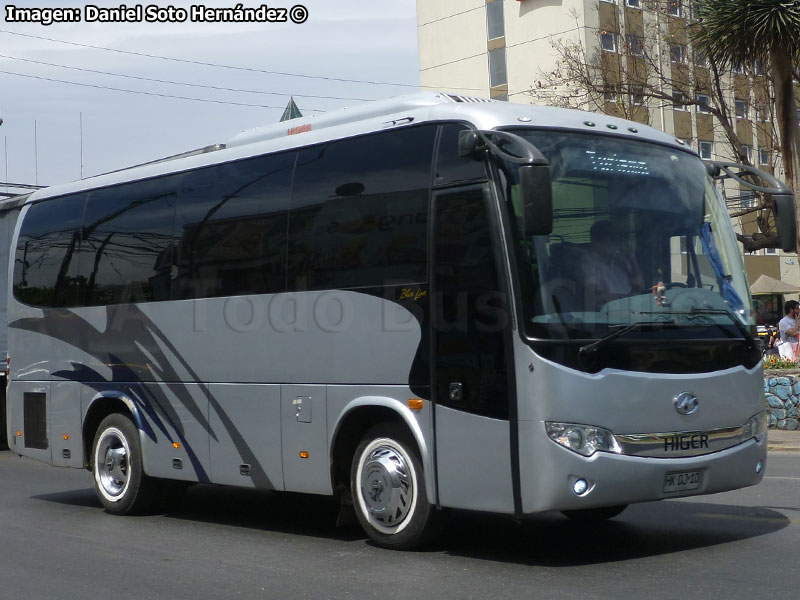 Higer Bus KLQ6796 (H79.29) / Corditur