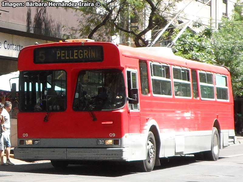 Flyer Industries Limited E901A / Empresa Provincial de Transportes de Mendoza (Cuyo - Argentina)