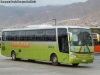 Busscar Vissta Buss LO / Mercedes Benz O-400RSL / Tur Bus