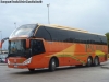 Zhong Tong Navigator LCK6137H / Pullman Palmira Zhong Tong Navigator LCK6137H / Pullman Palmira