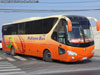 Yutong ZK6129HE / Pullman Bus