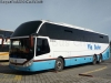 Zhong Tong Navigator LCK6137H / Pullman Palmira