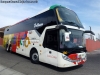 Zhong Tong Navigator LCK6137H Half Deck / Pullman Carmelita Zhong Tong Navigator LCK6137H Half Deck / Pullman Carmelita