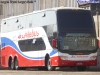 Modasa Zeus II / Mercedes Benz O-500RSD-2442 / Chile Bus