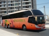 Zhong Tong Navigator LCK6137H / Pullman Palmira