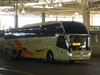 Zhong Tong Navigator LCK6137H / TACC Expreso Norte