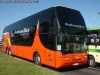 Young Man Skyliner JNP6137S / Pullman Bus Young Man Skyliner JNP6137S / Pullman Bus