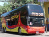 Young Man Skyliner JNP6137S / Fichtur Young Man Skyliner JNP6137S / Fichtur