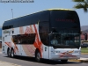 Young Man Skyliner JNP6137S / Atacama Vip Young Man Skyliner JNP6137S / Atacama Vip