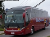 Neobus New Road N10 360 / Mercedes Benz O-500RS-1836 / Buses Palacios